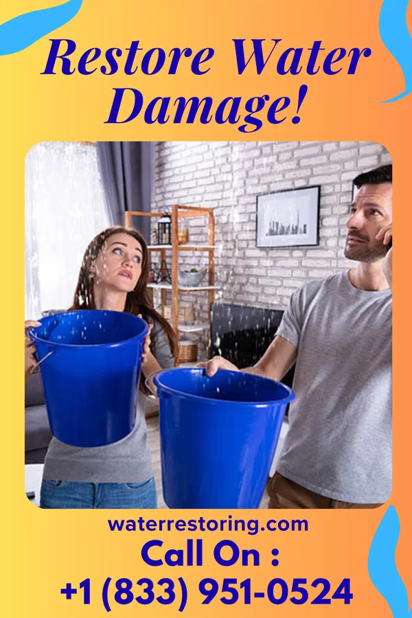 water restoration First Damage Restoration LLC Hazlehurst