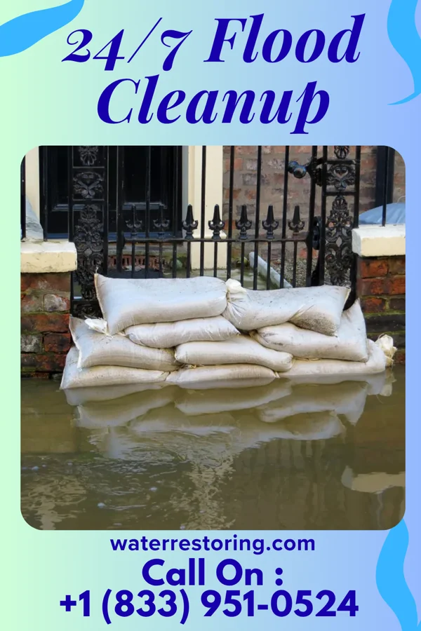 24/7 Flood Cleanup in Hazlehurst, MS