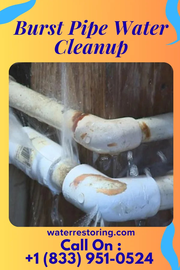 Burst Pipe Water Cleanup in Hazlehurst, MS