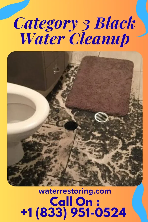 Category 3 Black Water Cleanup in Hazlehurst, MS