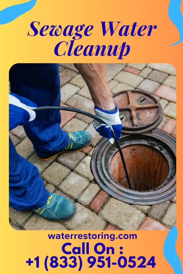 Sewage Water Cleanup in Hazlehurst, MS